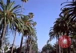 Immagine di Palm strada alberata nel quartiere Los Angeles California USA, 1976, secondo 27 filmato di repertorio 65675033263