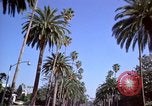Immagine di Palm strada alberata nel quartiere Los Angeles California USA, 1976, secondo 29 filmato di repertorio 65675033263