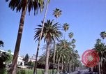 Immagine di Palm strada alberata nel quartiere Los Angeles California USA, 1976, secondo 30 filmato di repertorio 65675033263