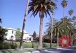 Immagine di Palm strada alberata nel quartiere Los Angeles California USA, 1976, secondo 31 filmato di repertorio 65675033263