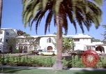 Immagine di Palm strada alberata nel quartiere Los Angeles California USA, 1976, secondo 34 filmato di repertorio 65675033263