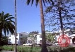 Immagine di Palm strada alberata nel quartiere Los Angeles California USA, 1976, secondo 36 filmato di repertorio 65675033263