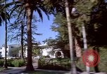 Immagine di Palm strada alberata nel quartiere Los Angeles California USA, 1976, secondo 38 filmato di repertorio 65675033263