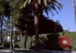 Immagine di Palm strada alberata nel quartiere Los Angeles California USA, 1976, secondo 39 filmato di repertorio 65675033263