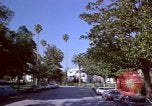 Immagine di Palm strada alberata nel quartiere Los Angeles California USA, 1976, secondo 47 filmato di repertorio 65675033263
