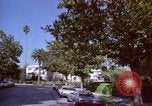 Immagine di Palm strada alberata nel quartiere Los Angeles California USA, 1976, secondo 48 filmato di repertorio 65675033263