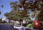 Immagine di Palm strada alberata nel quartiere Los Angeles California USA, 1976, secondo 49 filmato di repertorio 65675033263