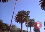 Immagine di Palm strada alberata nel quartiere Los Angeles California USA, 1976, secondo 51 filmato di repertorio 65675033263