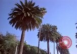 Immagine di Palm strada alberata nel quartiere Los Angeles California USA, 1976, secondo 52 filmato di repertorio 65675033263
