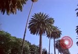 Immagine di Palm strada alberata nel quartiere Los Angeles California USA, 1976, secondo 53 filmato di repertorio 65675033263
