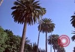 Immagine di Palm strada alberata nel quartiere Los Angeles California USA, 1976, secondo 54 filmato di repertorio 65675033263