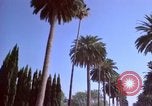 Immagine di Palm strada alberata nel quartiere Los Angeles California USA, 1976, secondo 56 filmato di repertorio 65675033263