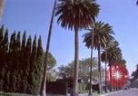 Immagine di Palm strada alberata nel quartiere Los Angeles California USA, 1976, secondo 57 filmato di repertorio 65675033263
