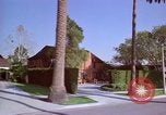Immagine di Palm strada alberata nel quartiere Los Angeles California USA, 1976, secondo 59 filmato di repertorio 65675033263