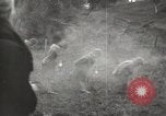 Standbild Frau Mary C Hettinger Tiffin Ohio USA, 1932, aus Sekunde 29 historischem Filmmaterial Videoclip 65675033277