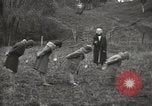 Standbild Frau Mary C Hettinger Tiffin Ohio USA, 1932, aus Sekunde 31 historischem Filmmaterial Videoclip 65675033277