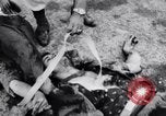 Image of revolution in Cuba in 1956 against Fulgencio Batista Cuba, 1956, second 18 stock footage video 65675033303