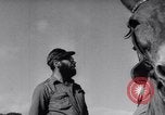 Immagine di Ernesto Che Guevara si unisce a Fidel Castro Cuba, 1957, secondo 8 filmato di repertorio 65675033306