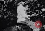 Immagine di Ernesto Che Guevara si unisce a Fidel Castro Cuba, 1957, secondo 16 filmato di repertorio 65675033306