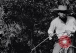 Immagine di Ernesto Che Guevara si unisce a Fidel Castro Cuba, 1957, secondo 22 filmato di repertorio 65675033306