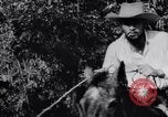 Immagine di Ernesto Che Guevara si unisce a Fidel Castro Cuba, 1957, secondo 23 filmato di repertorio 65675033306