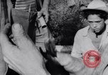 Image of Che Guevara Cuba, 1958, second 46 stock footage video 65675033307