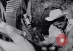 Image of Che Guevara Cuba, 1958, second 49 stock footage video 65675033307