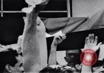 Image of Fidel Castro taking power in Cuba Cuba, 1959, second 25 stock footage video 65675033309
