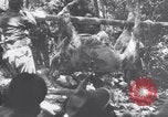 Image of Fidel Castro Havana Cuba, 1960, second 34 stock footage video 65675033320