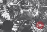 Image of Fidel Castro Havana Cuba, 1960, second 35 stock footage video 65675033320