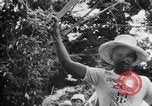 Image of Fidel Castro Cuba, 1960, second 41 stock footage video 65675033321