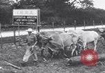 Image of Fidel Castro Cuba, 1960, second 43 stock footage video 65675033321