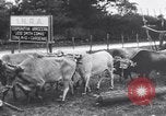 Image of Fidel Castro Cuba, 1960, second 45 stock footage video 65675033321