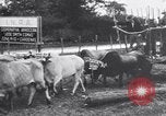 Image of Fidel Castro Cuba, 1960, second 46 stock footage video 65675033321
