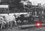 Image of Fidel Castro Cuba, 1960, second 47 stock footage video 65675033321