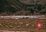 Immagine di Ovini e corsie di marcia Frisco Colorado United States USA, 1971, secondo 27 filmato di repertorio 65675033332