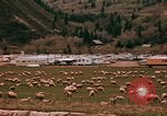 Immagine di Ovini e corsie di marcia Frisco Colorado United States USA, 1971, secondo 30 filmato di repertorio 65675033332
