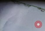 Image of P-51 Philippines, 1945, second 1 stock footage video 65675033347