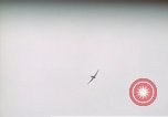 Image of P-51 Philippines, 1945, second 28 stock footage video 65675033347