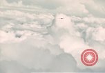 Image of B- 24 plane Philippines, 1945, second 59 stock footage video 65675033352