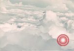 Image of B- 24 plane Philippines, 1945, second 61 stock footage video 65675033352