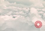 Image of B- 24 plane Philippines, 1945, second 62 stock footage video 65675033352