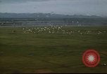Image of Bombing Philippines, 1945, second 55 stock footage video 65675033357