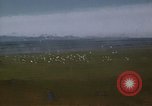 Image of Bombing Philippines, 1945, second 59 stock footage video 65675033357