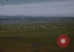 Image of Bombing Philippines, 1945, second 60 stock footage video 65675033357