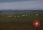 Image of Bombing Philippines, 1945, second 62 stock footage video 65675033357