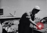 Standbild 18 Fighter Bomber Wing Korea, 1951, aus Sekunde 33 historischem Filmmaterial Videoclip 65675033382