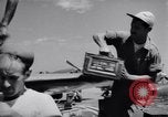 Standbild 18 Fighter Bomber Wing Korea, 1951, aus Sekunde 34 historischem Filmmaterial Videoclip 65675033382