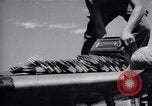 Standbild 18 Fighter Bomber Wing Korea, 1951, aus Sekunde 43 historischem Filmmaterial Videoclip 65675033382