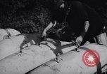 Image de bombes au napalm Corée, 1951, de la seconde 12 séquences d'archives historiques vidéo 65675033392